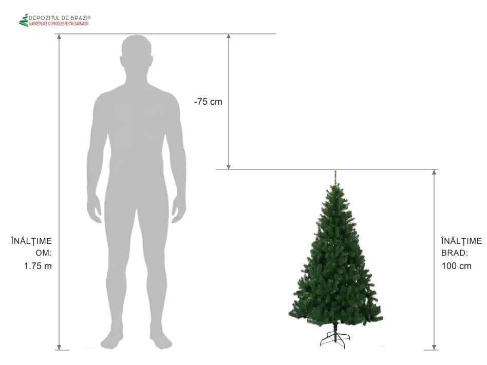 Ghid proporție: brad artificial 100 cm vs siluetă om 1.75 m