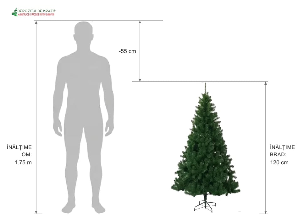 Ghid proporție: brad artificial 120 cm vs siluetă om 1.75 m