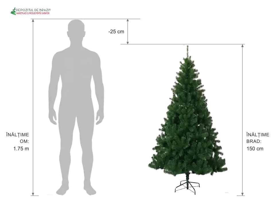 Ghid proporție: brad artificial 150 cm vs siluetă om 1.75 m