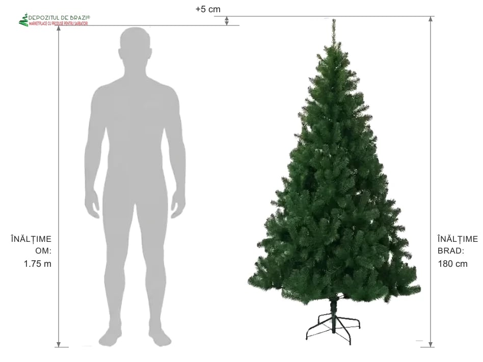 Ghid proporție: brad artificial 180 cm vs siluetă om 1.75 m