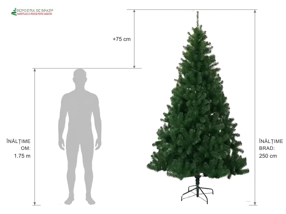 Ghid proporție: brad artificial 250 cm vs siluetă om 1.75 m