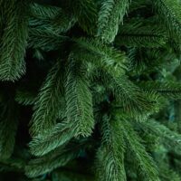 Brad Artificial CONIFER DREAM - image detliu-ramuri-2-200x200 on https://depozituldebrazi.ro