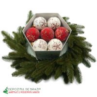 Decorațiune Crăciun - Coroniță de Ușă, full 3d, Green - image GLOBURI-1-FARA-CAPAC-200x200 on https://depozituldebrazi.ro
