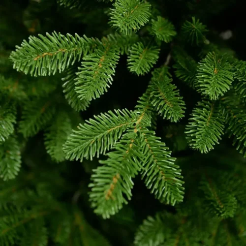 Alternative view of Brad Artificial Verde, Apect Natural, Canadian Classic