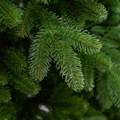 Alternative view of Brad artificial verde, ace full 3d, Canadian Premium