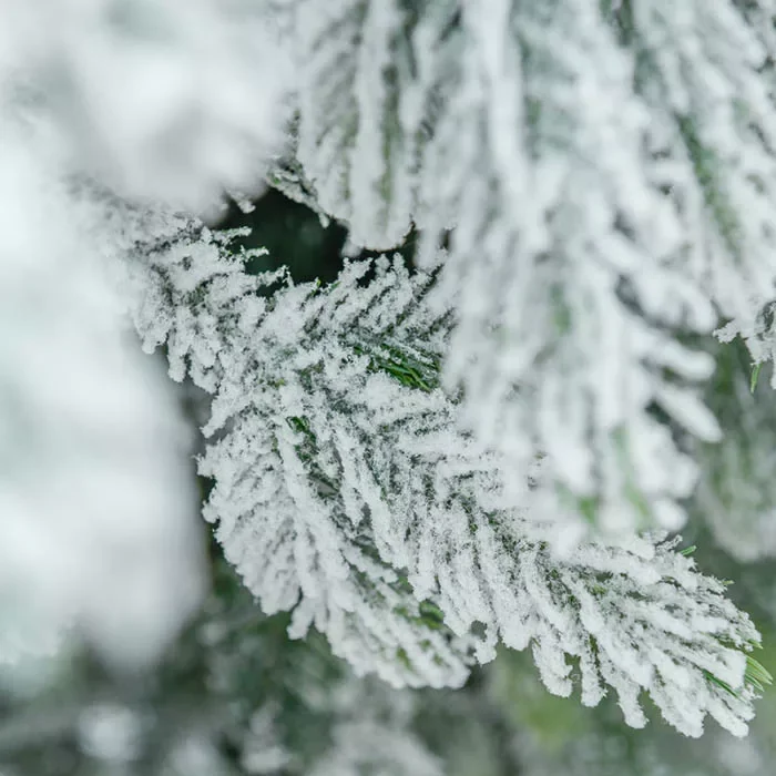 brad artificial snow king 5